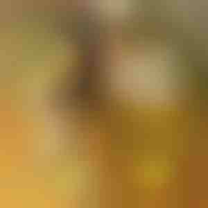 LED akrilna ploča sa 7 markera | LUMOBOARD