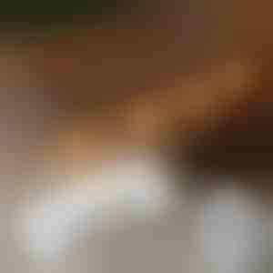 20x samolepljivih kopči za ugradnju svetla | CORDCLIP