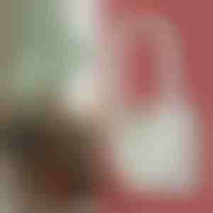 Ultrazvučni uređaj protiv komaraca sa pretvaranjem frekvencije sa LED svetlom za spavanje | ANTIMOSI