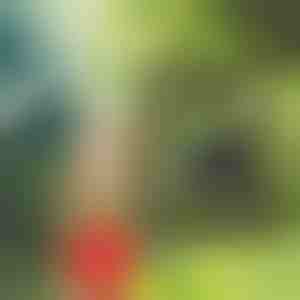 Prenosni tuš | SHOWDY