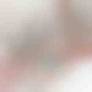 Toaletna kozmetička torba sa više pregrada | TOILUXE