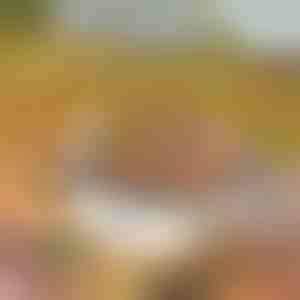 Prenosivi roštilj | GRILLSTER