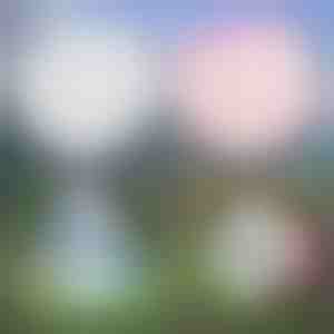 Višenamenska naduvavajuća lopta | SLIMEBUB