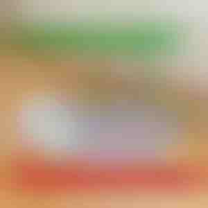 Višekratne nepropusne podloge za štence | PAWSORB